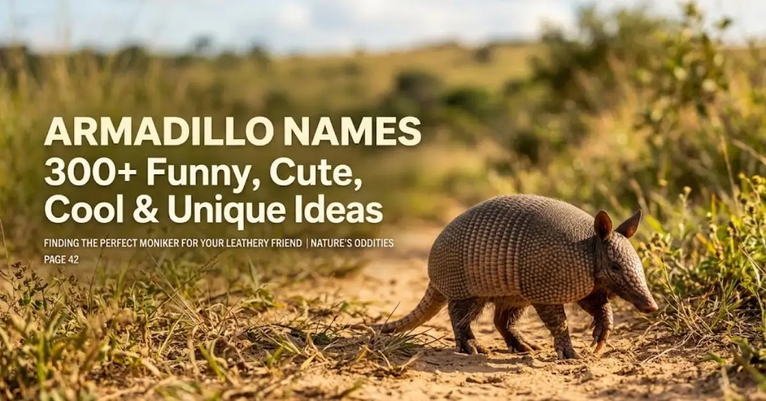 Alt Text: An adorable real armadillo walking along a dirt path in a sunlit grassy habitat with the text overlay "Armadillo Names 300+ Funny, Cute, Cool & Unique Ideas".