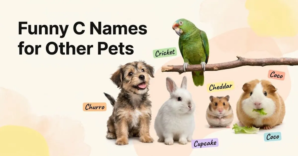 Alt Text: Feature banner titled "Funny C Names for Other Pets" showing a golden puppy, a lop-eared rabbit, a colourful parrot, a hamster, and a guinea pig with name tags like Cheddar, Churro, and Cupcake.   