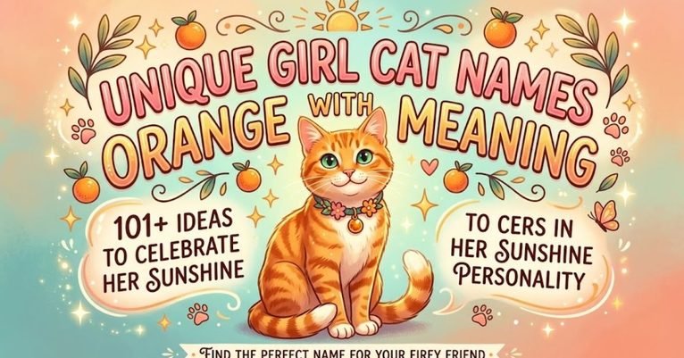Unique Girl Cat Names Orange